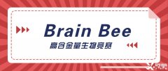 神經(jīng)科學(xué)生必選的Brain Bee腦科學(xué)大賽詳解，5-12年級均可參加