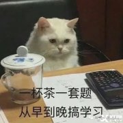 2023年澳洲AMC競(jìng)賽怎么報(bào)名？澳洲AMC競(jìng)賽歷年真題下載！