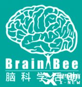 Brain bee腦科學(xué)競賽報(bào)名即將開啟，5-12年級(jí)均可參加的生物競賽~