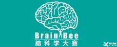 為什么Brain Bee腦科學(xué)大賽越來越受歡迎？附24年Brain Bee比賽時間