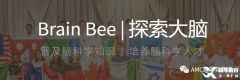 Brainbee腦科學(xué)大賽考前培訓(xùn)班，北京/上海/廣州課程介紹！