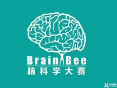 零基礎(chǔ)可以參加什么生物競賽？BrainBee腦科學(xué)培訓(xùn)輔導(dǎo)課程推薦！