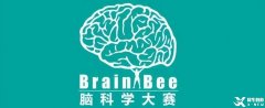 Brain Bee腦科學(xué)大賽備考須知！備考Brain Bee競賽考前輔導(dǎo)培訓(xùn)班有嗎？