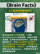 【生物競賽】Brainbee腦科學大賽幾年級可以參加？含金量如何？附Brainbee競賽pdf教材