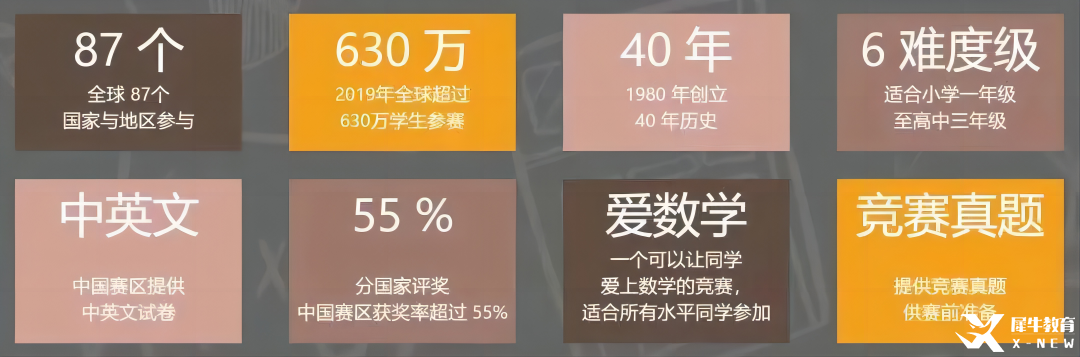 2025年袋鼠競賽一年級可以考嗎？靠袋鼠競賽對孩子學習數學有什么幫助?