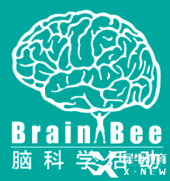 2025年Brain Bee全國賽即將開考！點擊下載Brain Bee參考書及真題！