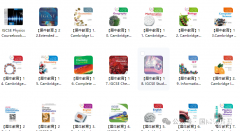 IGCSE課程是什么：國際教育“黃金跳板”，如何助力孩子沖擊世界名校?