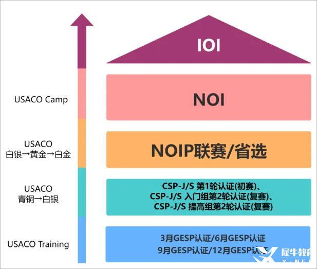 【一文講清USACO競(jìng)賽】國(guó)際生必看的計(jì)算機(jī)奧賽USACO深度解析！機(jī)構(gòu)USACO暑期集訓(xùn)營(yíng)助你沖刺名校!