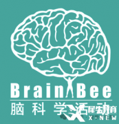 Brain Bee腦科學(xué)大賽是什么?為什么推薦低齡學(xué)生參加？考察內(nèi)容與備考方法