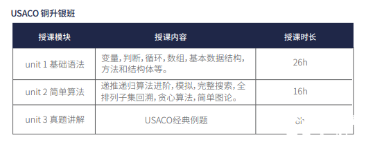 USACO競(jìng)賽從青銅到鉑金如何備考？USACO競(jìng)賽培訓(xùn)組班啦！