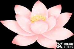 暑假IGCSE課程開課，全國30+校區(qū)