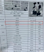 袋鼠數(shù)學(xué)競(jìng)賽一文講清楚！袋鼠數(shù)學(xué)競(jìng)賽適合幾年級(jí)？