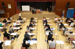 怎樣判斷是否適合DSE？DSE錄取率是多少?