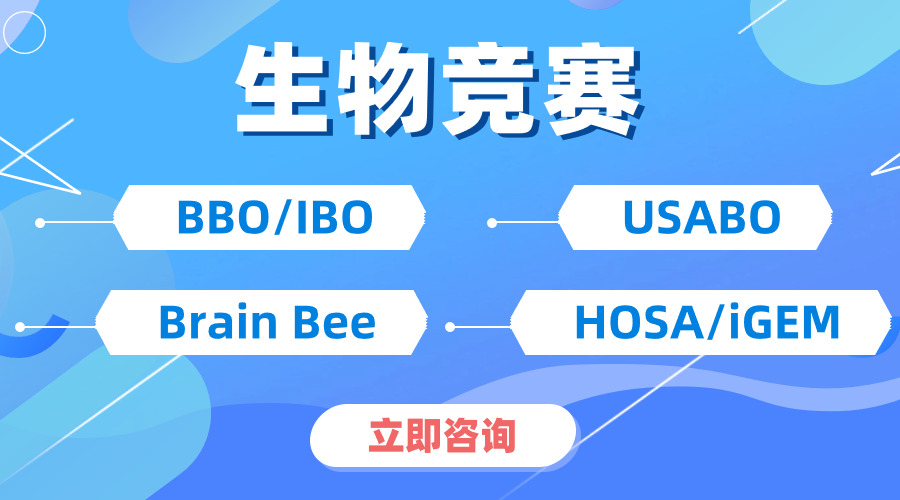 USABO與BBO的雙賽并行，不僅是獎(jiǎng)項(xiàng)的疊加，更是能力的飛躍！